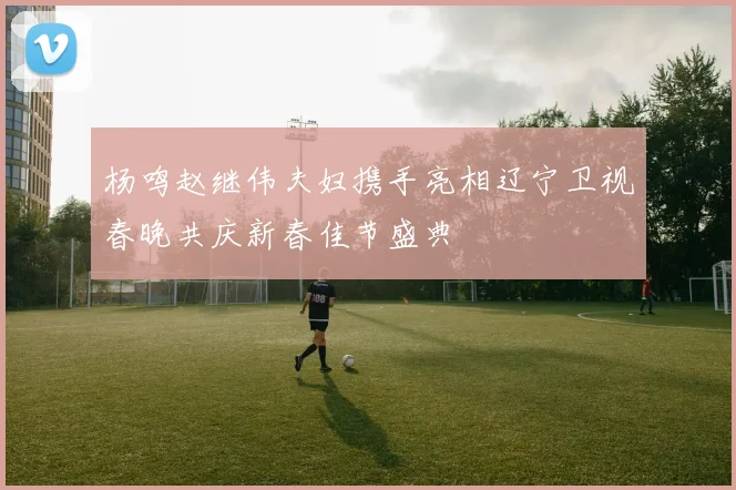 杨鸣赵继伟夫妇携手亮相辽宁卫视春晚共庆新春佳节盛典